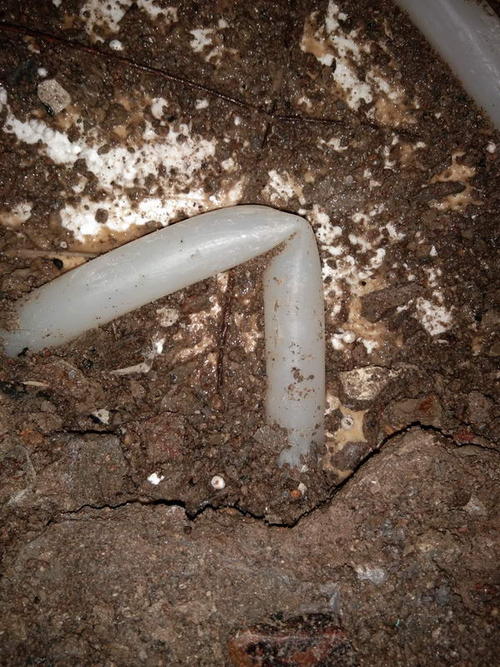 凤冈堵点精准查找